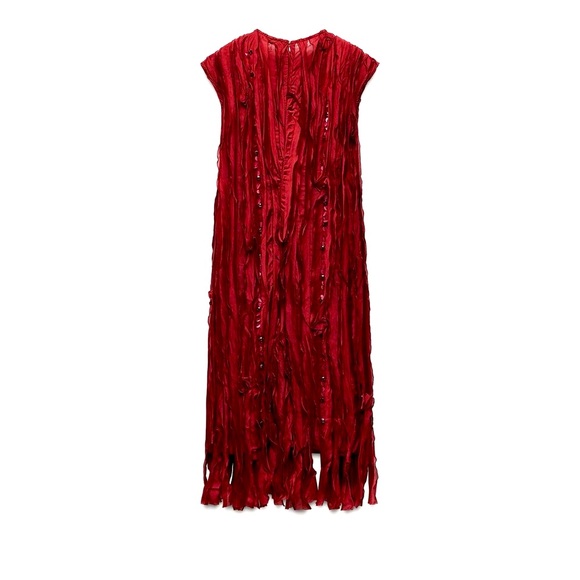 Zara Beaded ruffle dress. Round neck, sleeveless dress size Large! - Picture 7 of 10